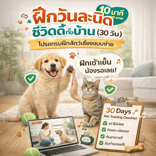 วิธีฝึกสัตว์เลี้ยง