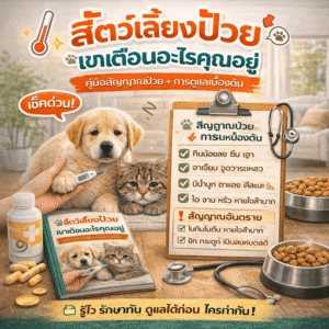 ดูแลสัตว์เลี้ยงป่วย